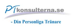 www.ptkonsulterna.se